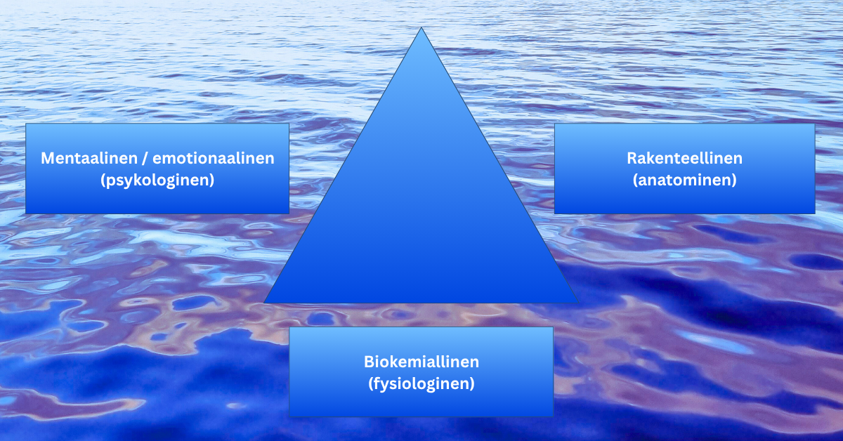 Kuvassa ihmisen terveyttä ja hyvinvointia kuvaava tasasivuinen kolmio